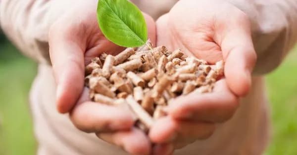 Czy pelletem można palić w kominku? Sprawdź, co musisz wiedzieć