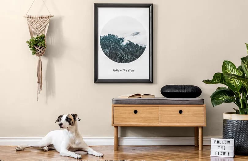 Jak dobrać kolor ścian do mebli, aby uniknąć nietrafionych wyborów